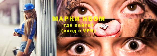 прущие грибы Волоколамск