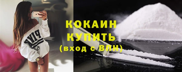 прущие грибы Волоколамск