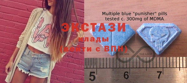 индика Володарск