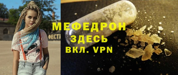 индика Володарск