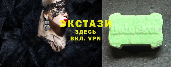индика Володарск