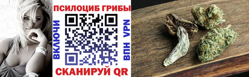 Псилоцибиновые грибы Cubensis  где продают   Дмитров 
